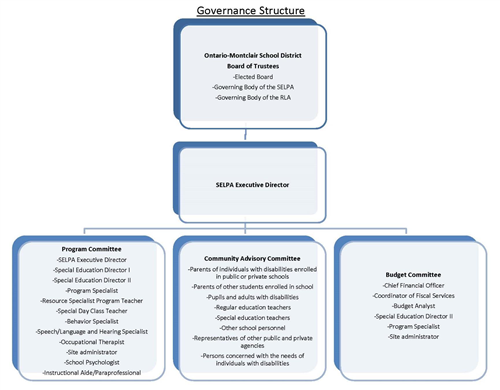 Governance Structure 